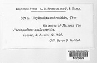 Image Associated With the Occurence